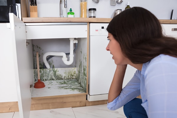 Avoiding Mold in Your Home